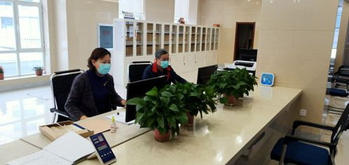通化市檔案館 疫情防控與檔案利用服務兩不誤，檔案整理服務賦能便民